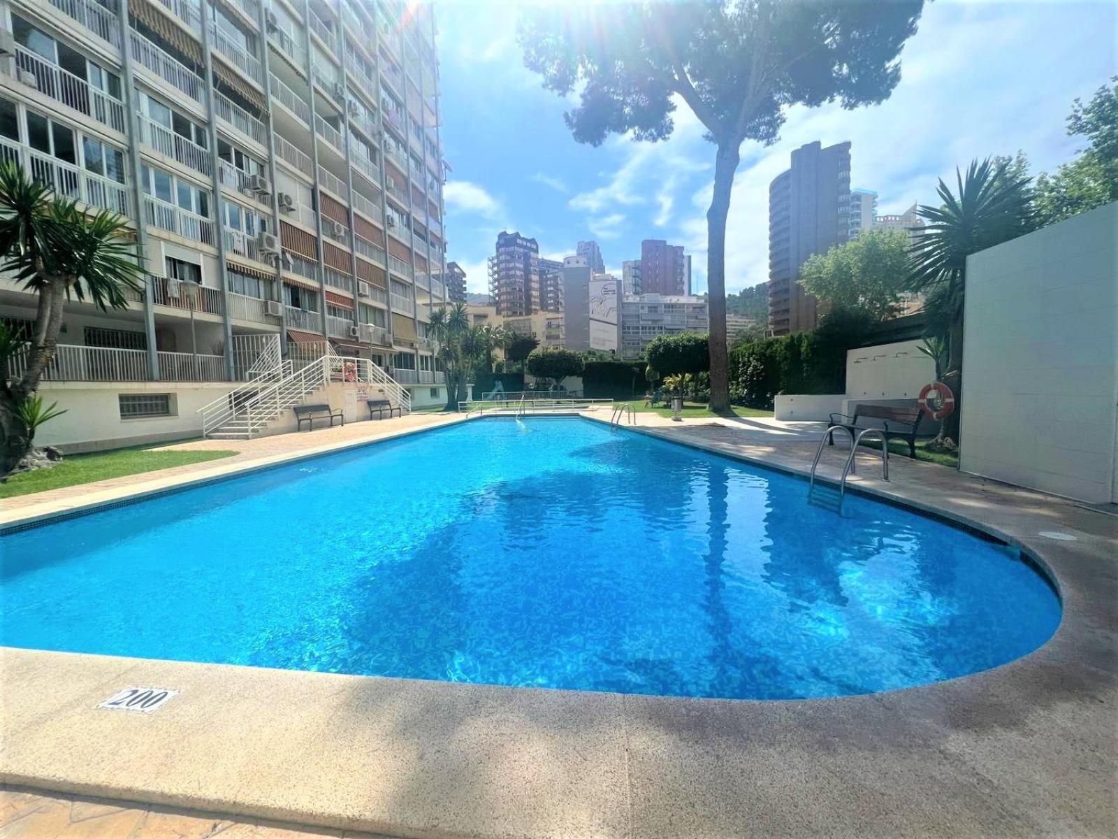 Albatros Luxury Ground Floor Leilighet Benidorm Eksteriør bilde